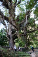 /album/fotogaleria/foto-41-jpg/